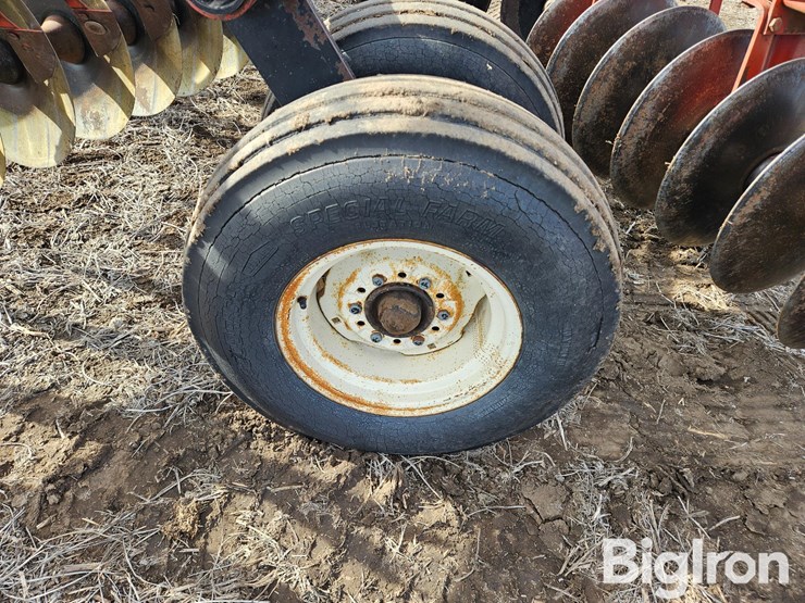 international-475-image-19