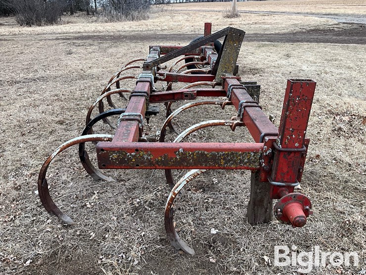 international-55-image-4