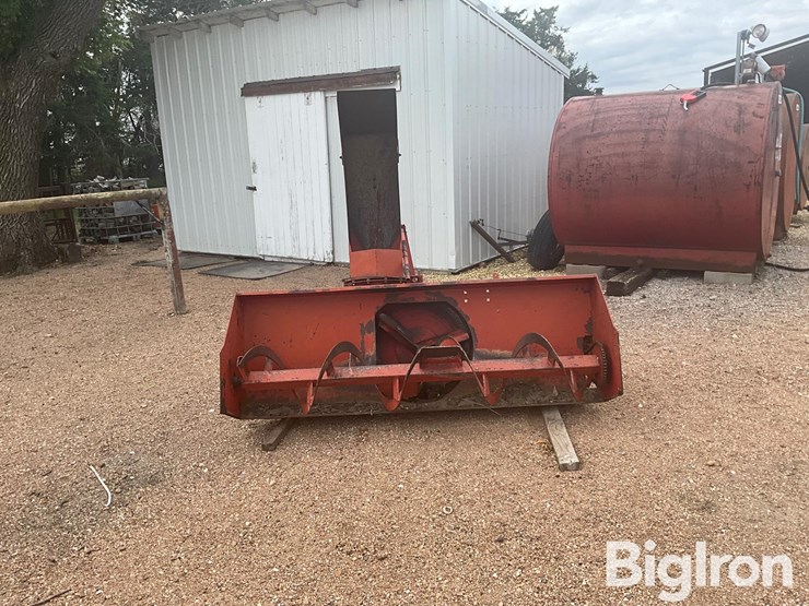 international-70-image-2