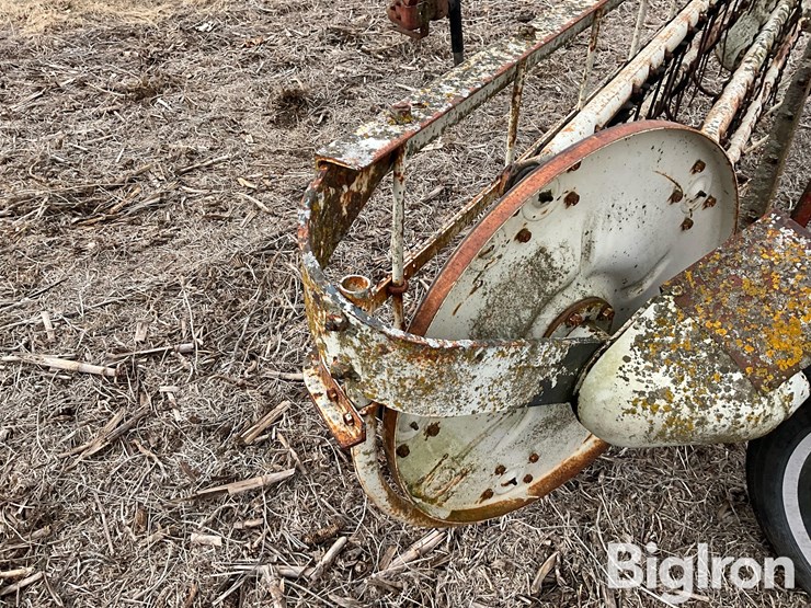 international-16-image-15