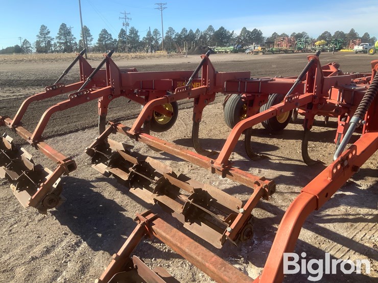 sunflower-4311-18-image-11