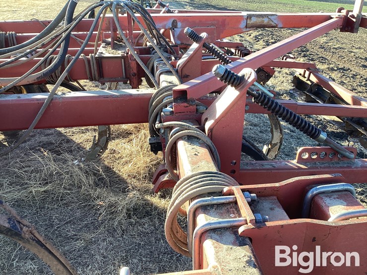 sunflower-4212-13-image-20