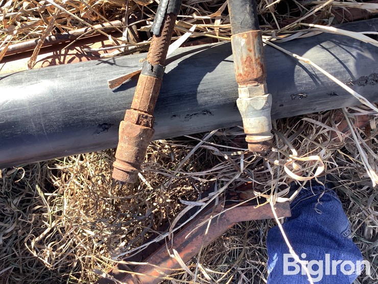 international-60-image-13