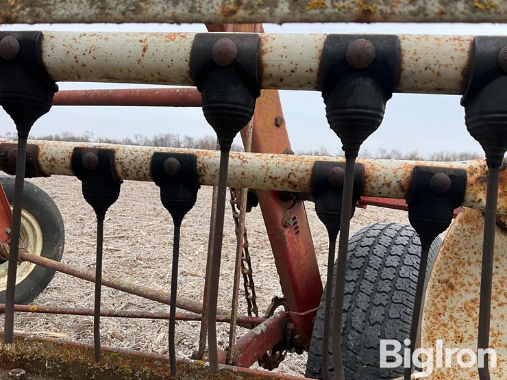 international-16-image-17