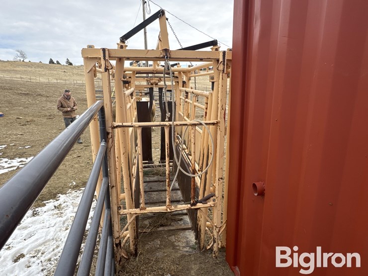 cattlelac-450-image-6