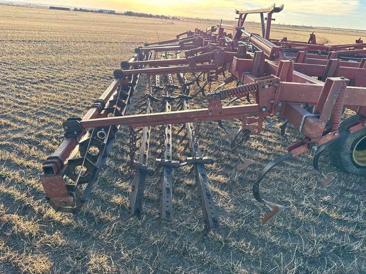 sunflower-6332-26-image-26