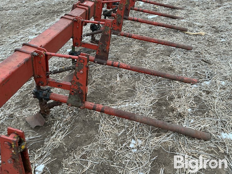 international-3-image-16