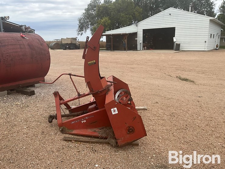 international-70-image-4