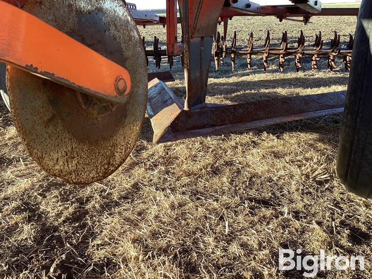 1997-sunflower-3671-35-image-17