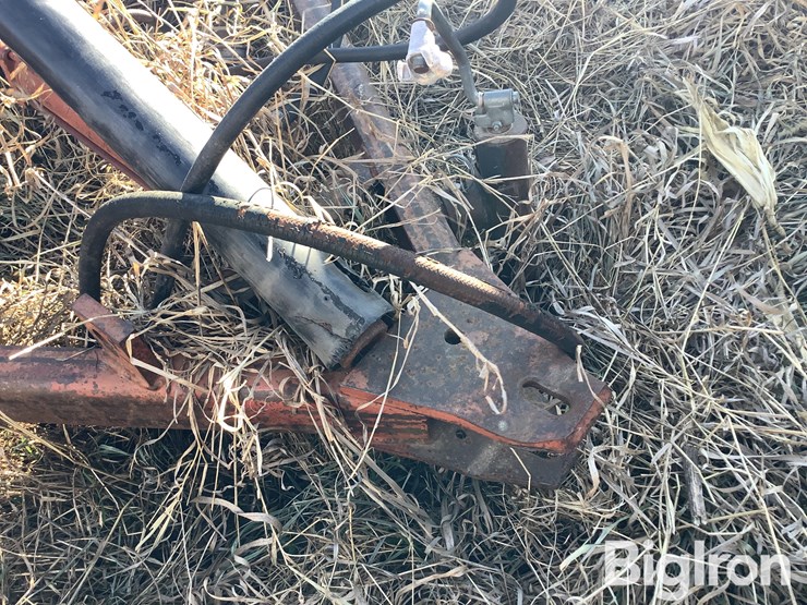 international-60-image-12