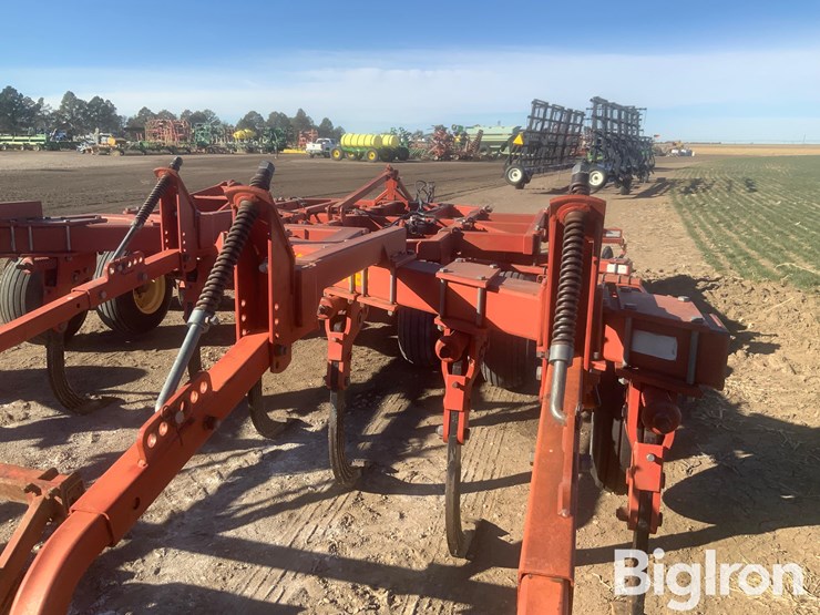 sunflower-4311-18-image-12