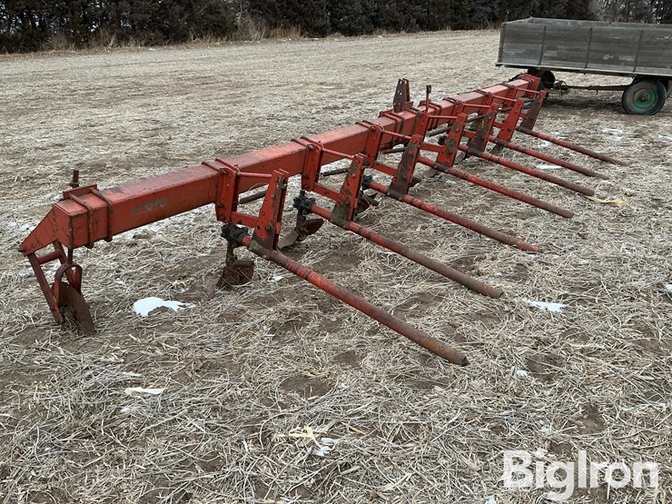 international-3-image-7