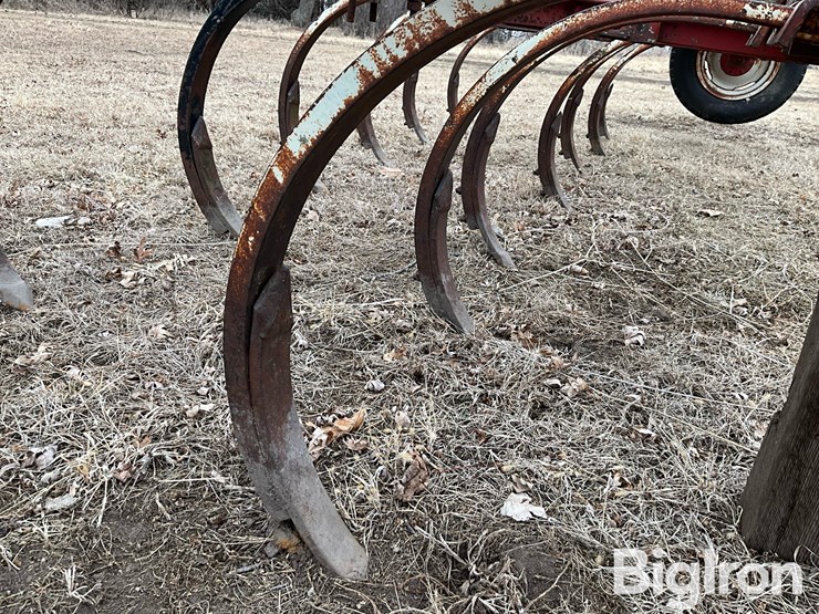 international-55-image-16