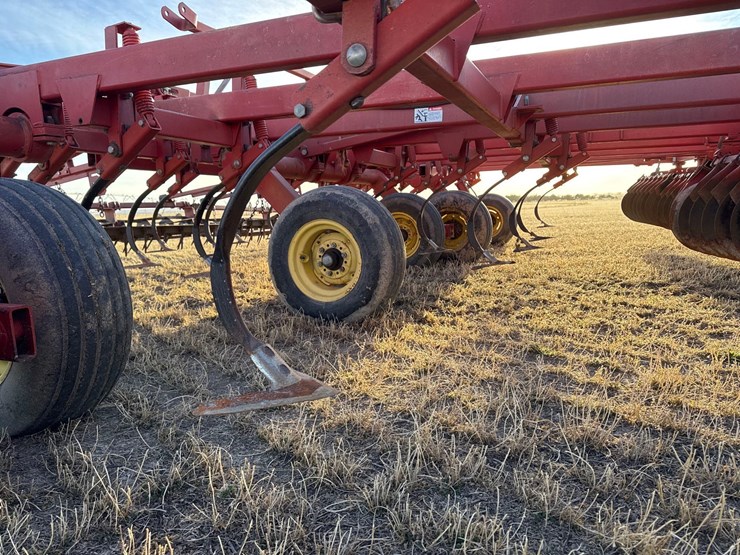 sunflower-6332-26-image-18