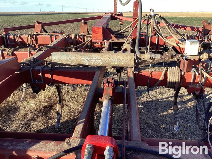 sunflower-4212-13-image-9