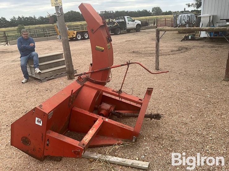 international-70-image-8