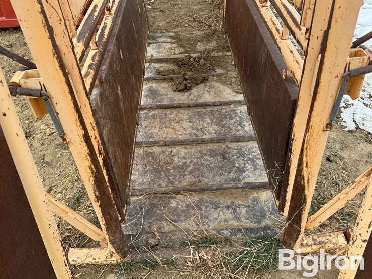 cattlelac-450-image-17