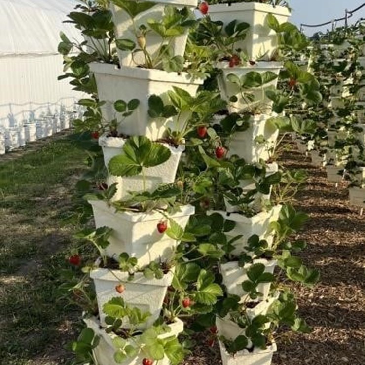 (30) Vertical Planting Towers - OFFSITE