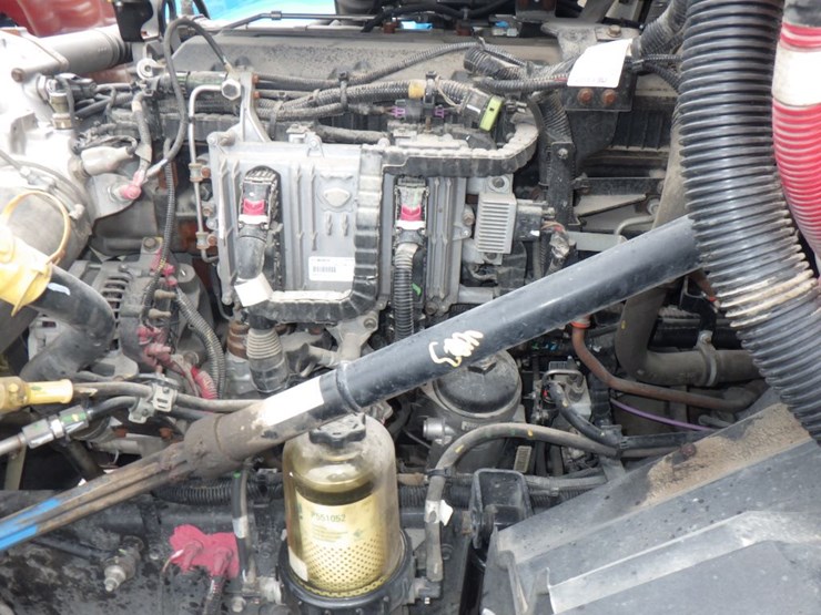 2020-international-lt-image-20