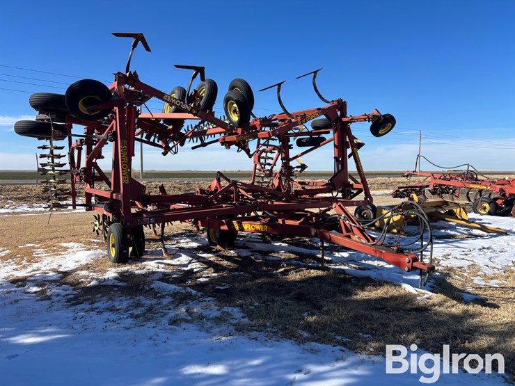 sunflower-42'-3060-42-fallow-king-image-3