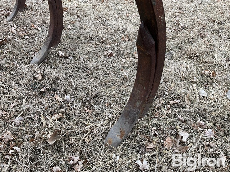 international-55-image-20