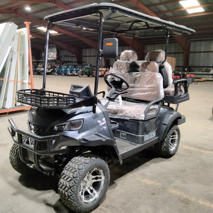#10 • 4-Seater Electric Golf Cart (SDLGC80)