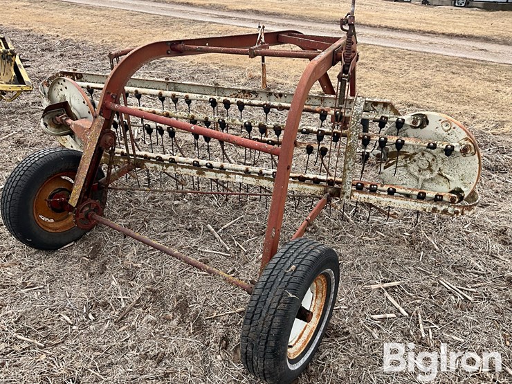 international-16-image-5