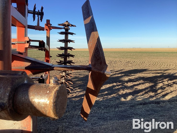 1997-sunflower-3671-35-image-19