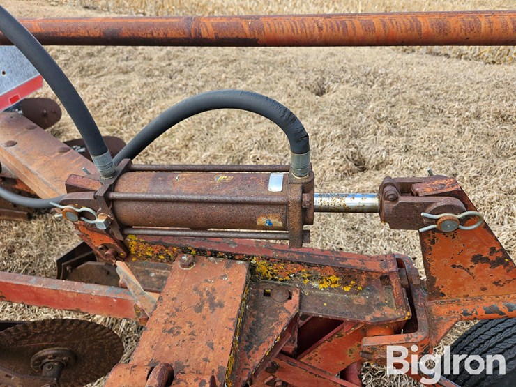 international-540-image-20