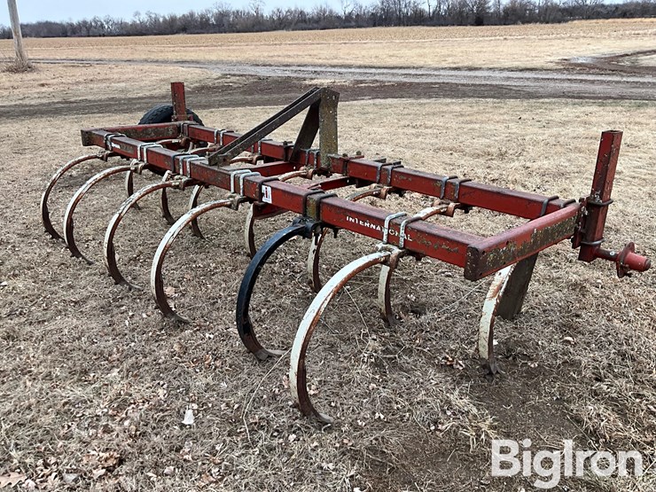 international-55-image-5