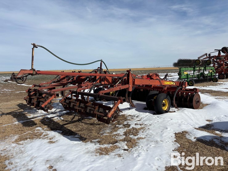 sunflower-4212-16-image-5