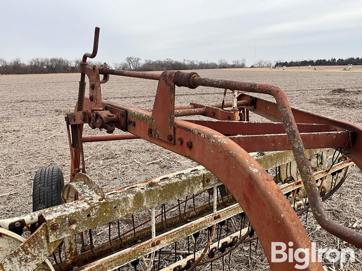 international-16-image-9