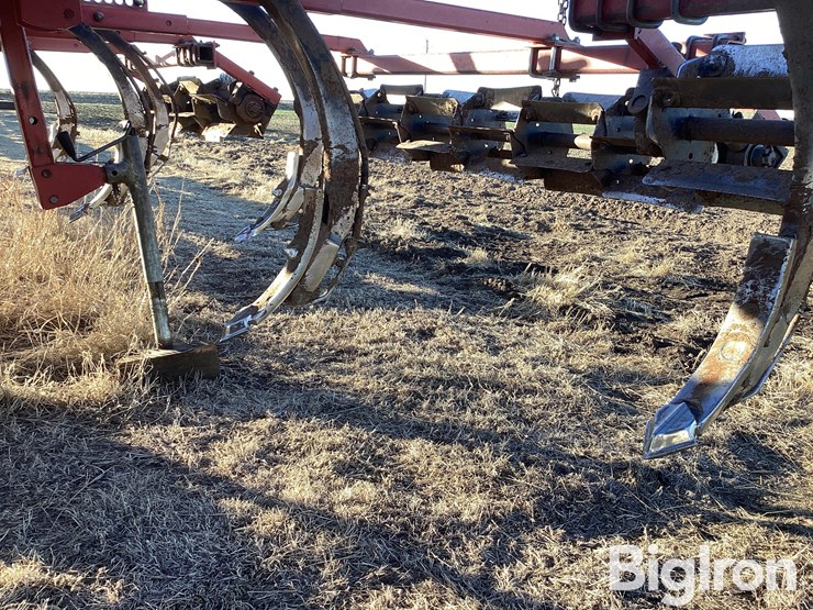 sunflower-4212-13-image-16