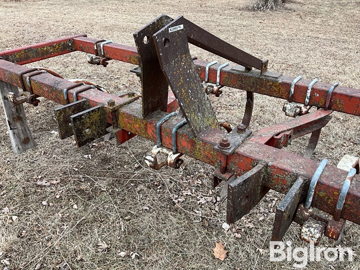 international-55-image-9