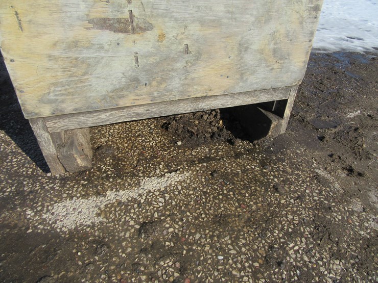 #8973-•-homemade-8'-x-4'-steer-stuffer-image-4