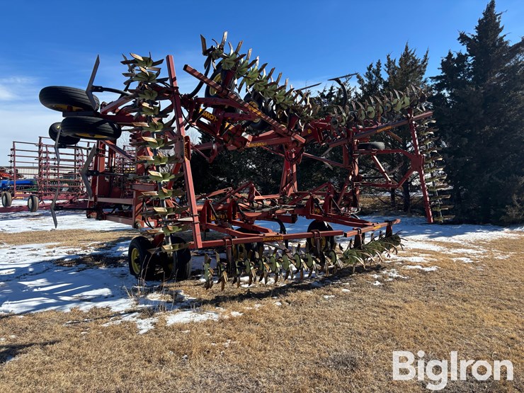 sunflower-42'-3060-42-fallow-king-image-7