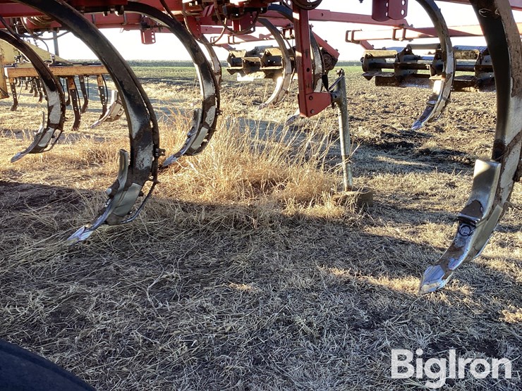 sunflower-4212-13-image-15