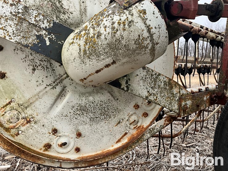 international-16-image-14