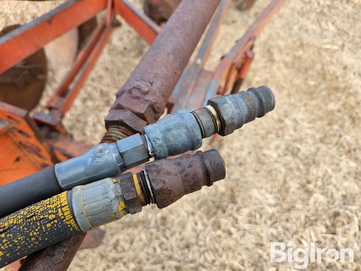 international-540-image-11