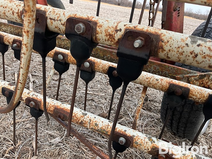 international-16-image-18