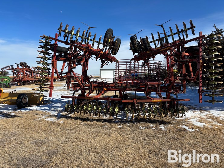 sunflower-42'-3060-42-fallow-king-image-6