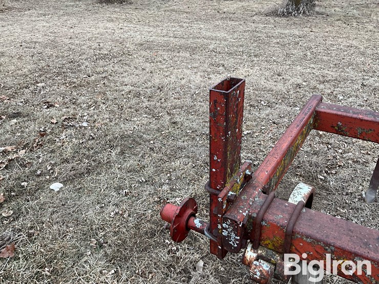 international-55-image-14