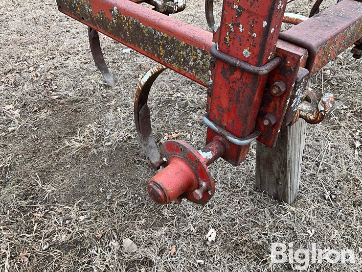 international-55-image-15