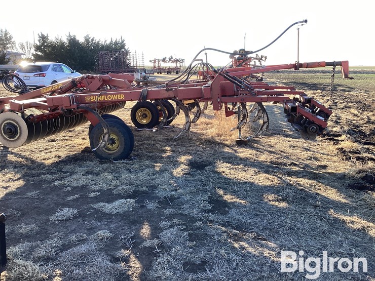 sunflower-4212-13-image-8