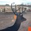 #2070-•-ar500-steel-deer-shooting-target-with-heart-flapper-image-6