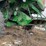 john-deere-9660-sts-image-10