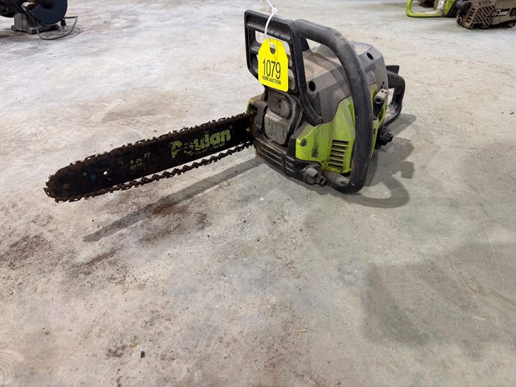 #1079-•-paulan-chainsaw-image-1