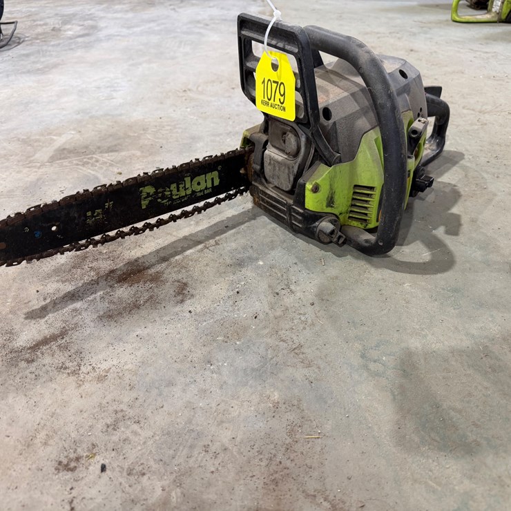 #1079 • Paulan Chainsaw