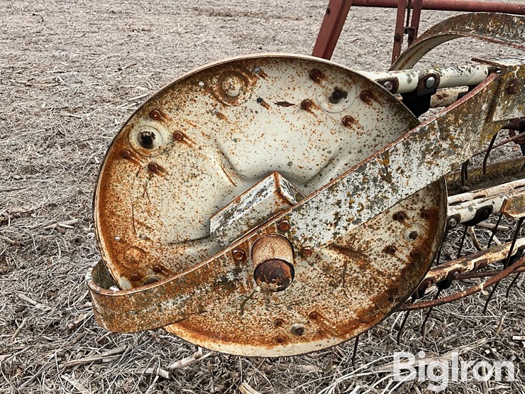 international-16-image-20