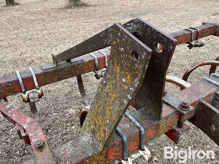 international-55-image-12